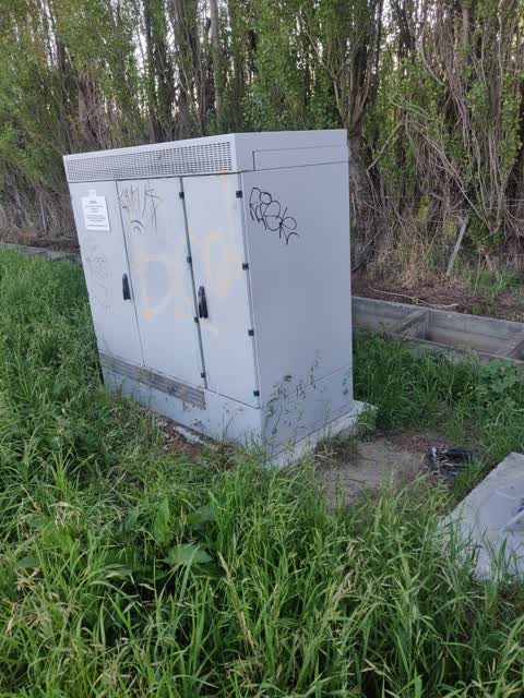 Graffiti — a report photo