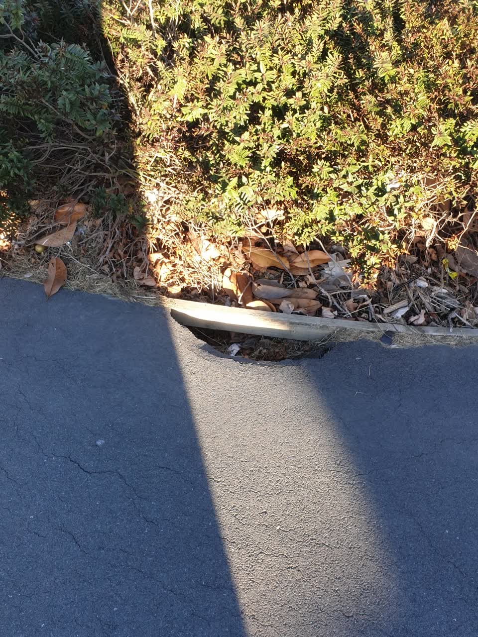 The photograph attached to this roading/streets report