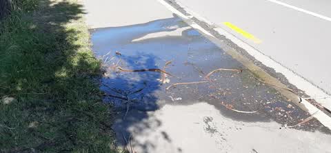 Water Supply, a report photo