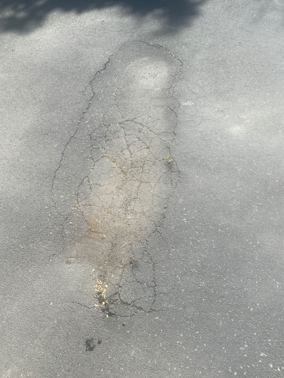 The photograph attached to this street light outage report