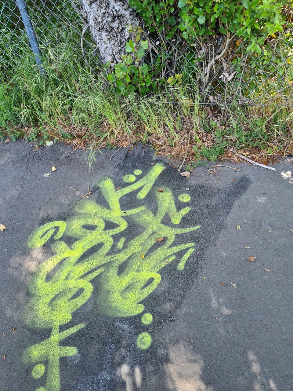 The photograph attached to this graffiti report