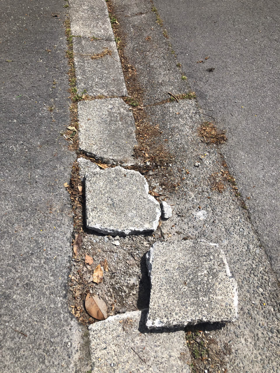 The photograph attached to this roading/streets report