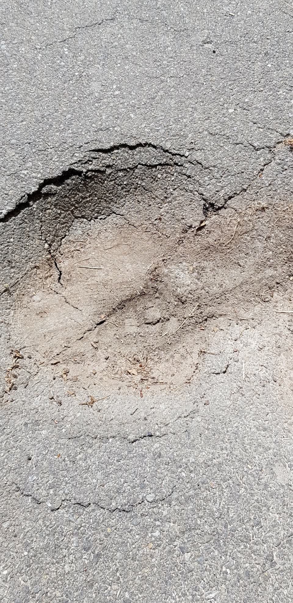 The photograph attached to this roading/streets report