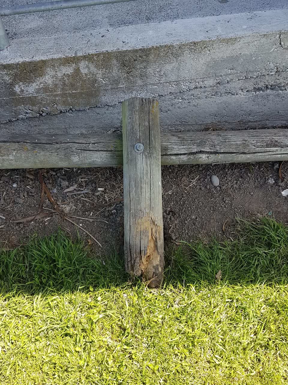 The photograph attached to this parks report