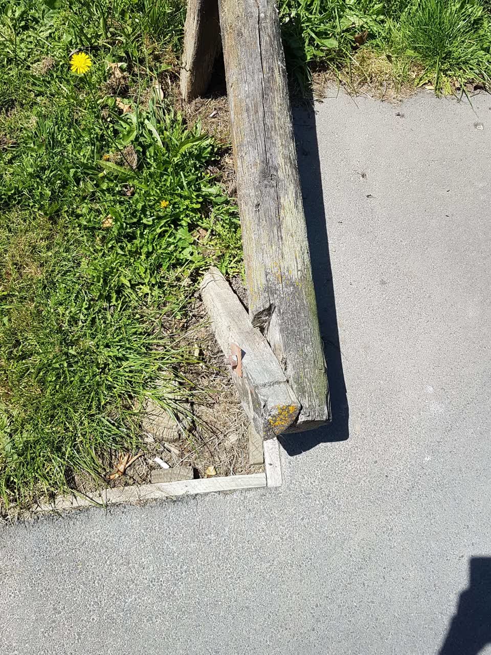 The photograph attached to this parks report