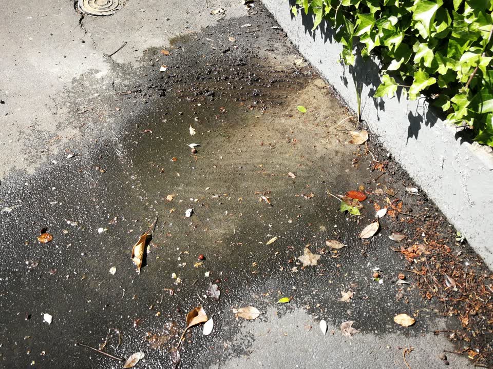 The photograph attached to this water leak report