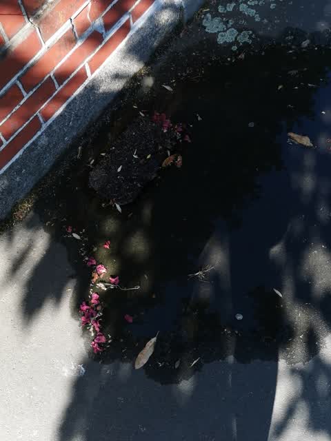 Water Leak, a report photo