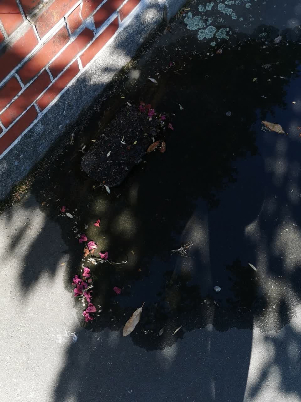 The photograph attached to this water leak report