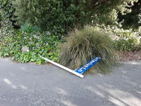 Roading/Streets, a report photo