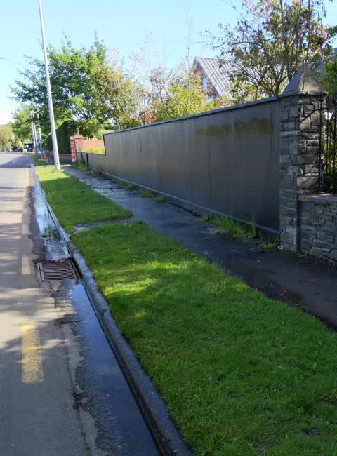 Water Leak, a report photo
