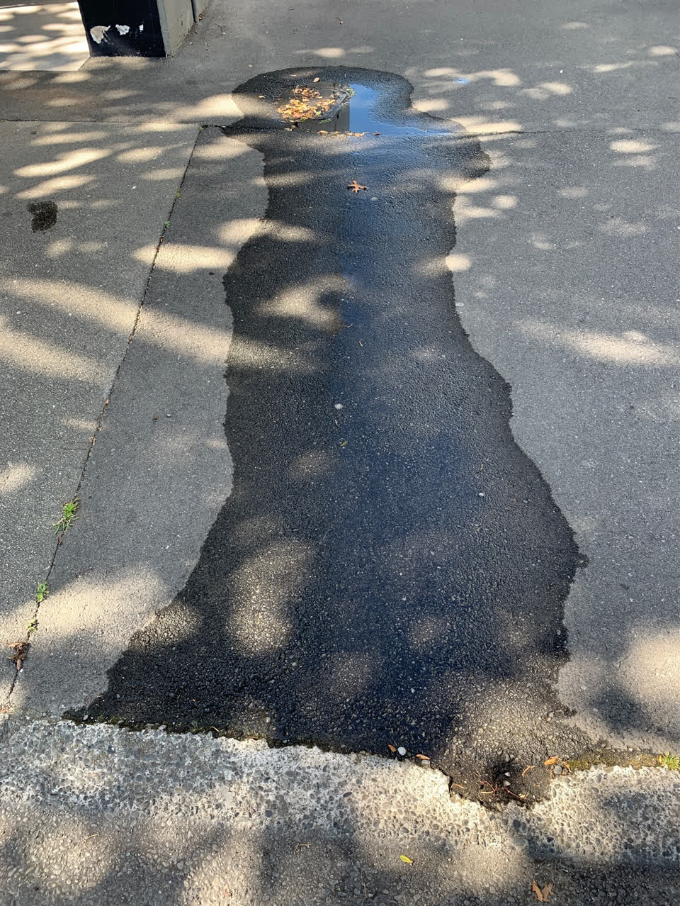 The photograph attached to this water leak report