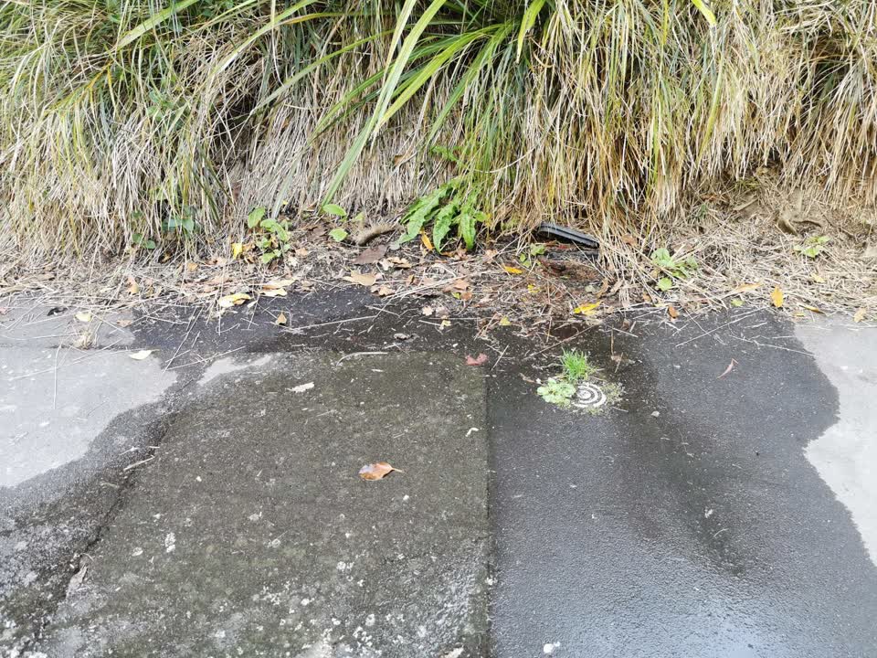 The photograph attached to this water leak report