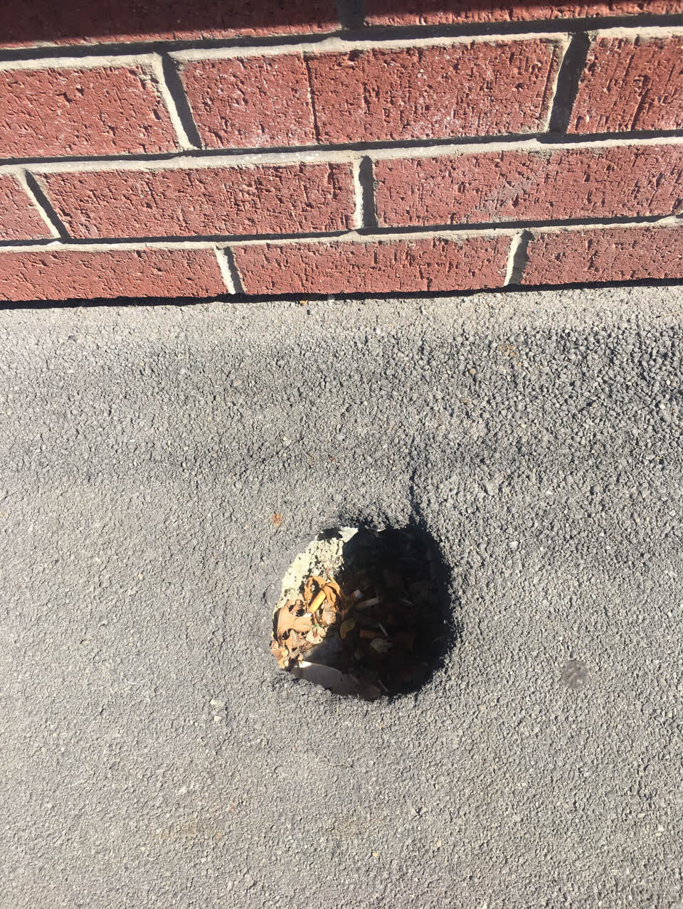 The photograph attached to this roading/streets report