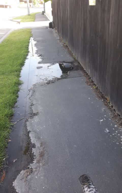 Water Leak, a report photo