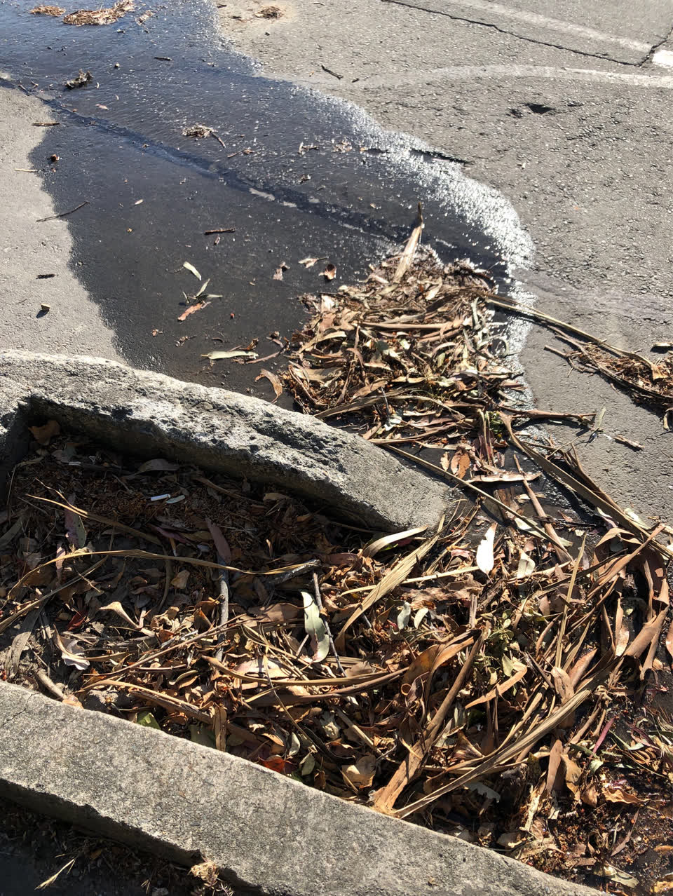 The photograph attached to this sewer - general report