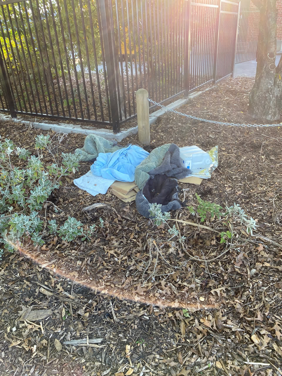 The photograph attached to this rubbish/recycling report