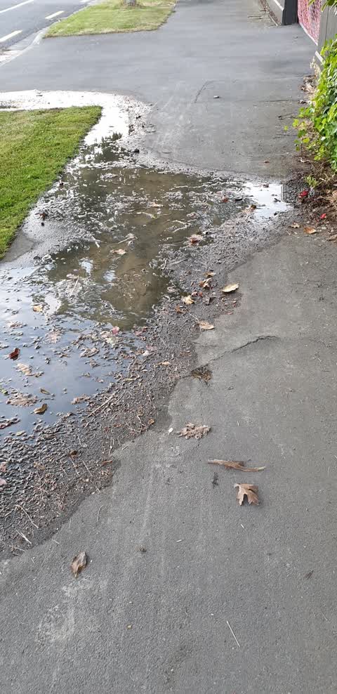 Water Leak, a report photo