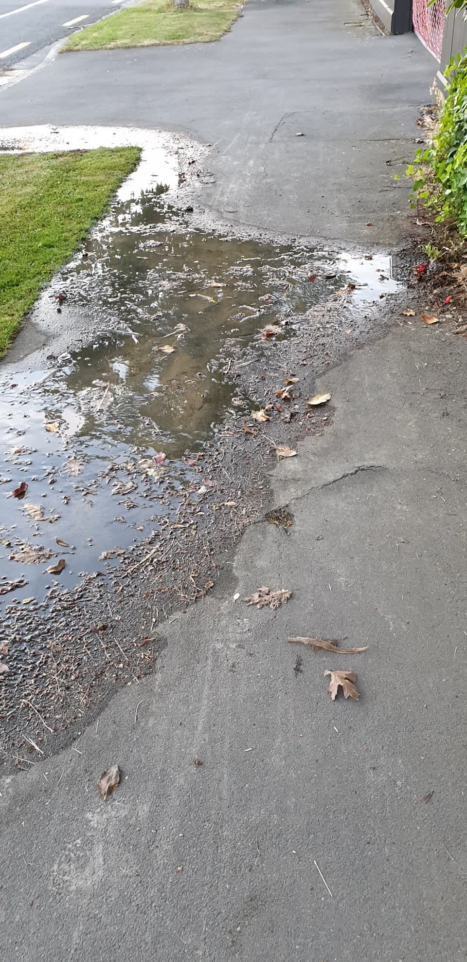 The photograph attached to this water leak report