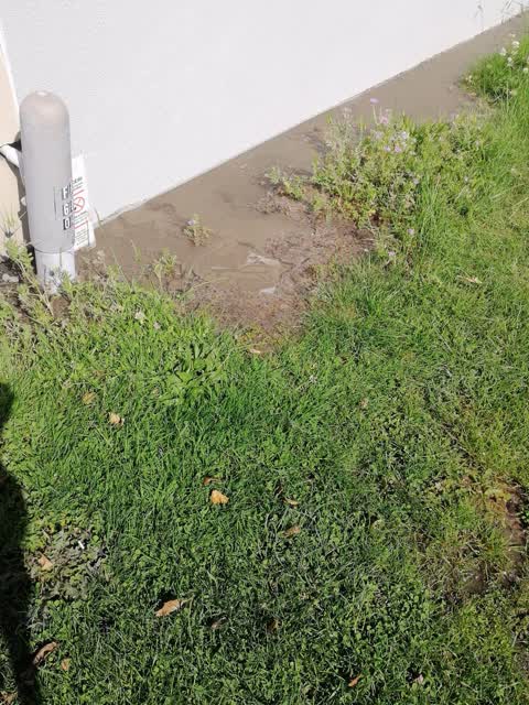 Water Supply, a report photo