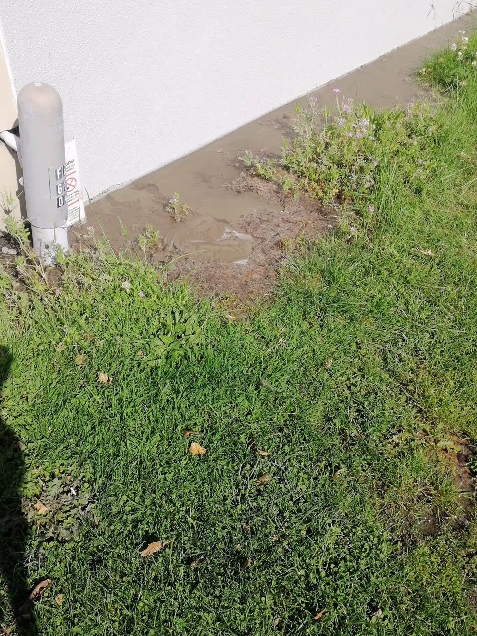 The photograph attached to this water supply report