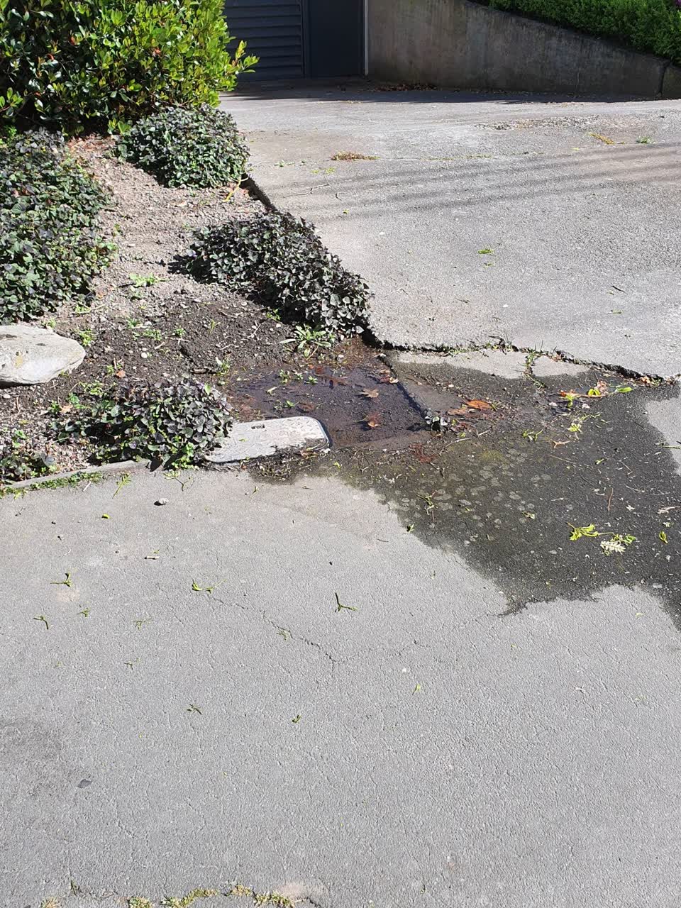 The photograph attached to this water leak report