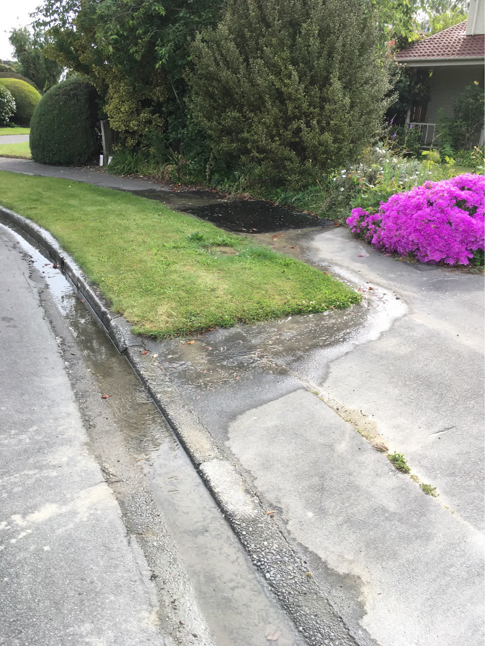 The photograph attached to this water supply report
