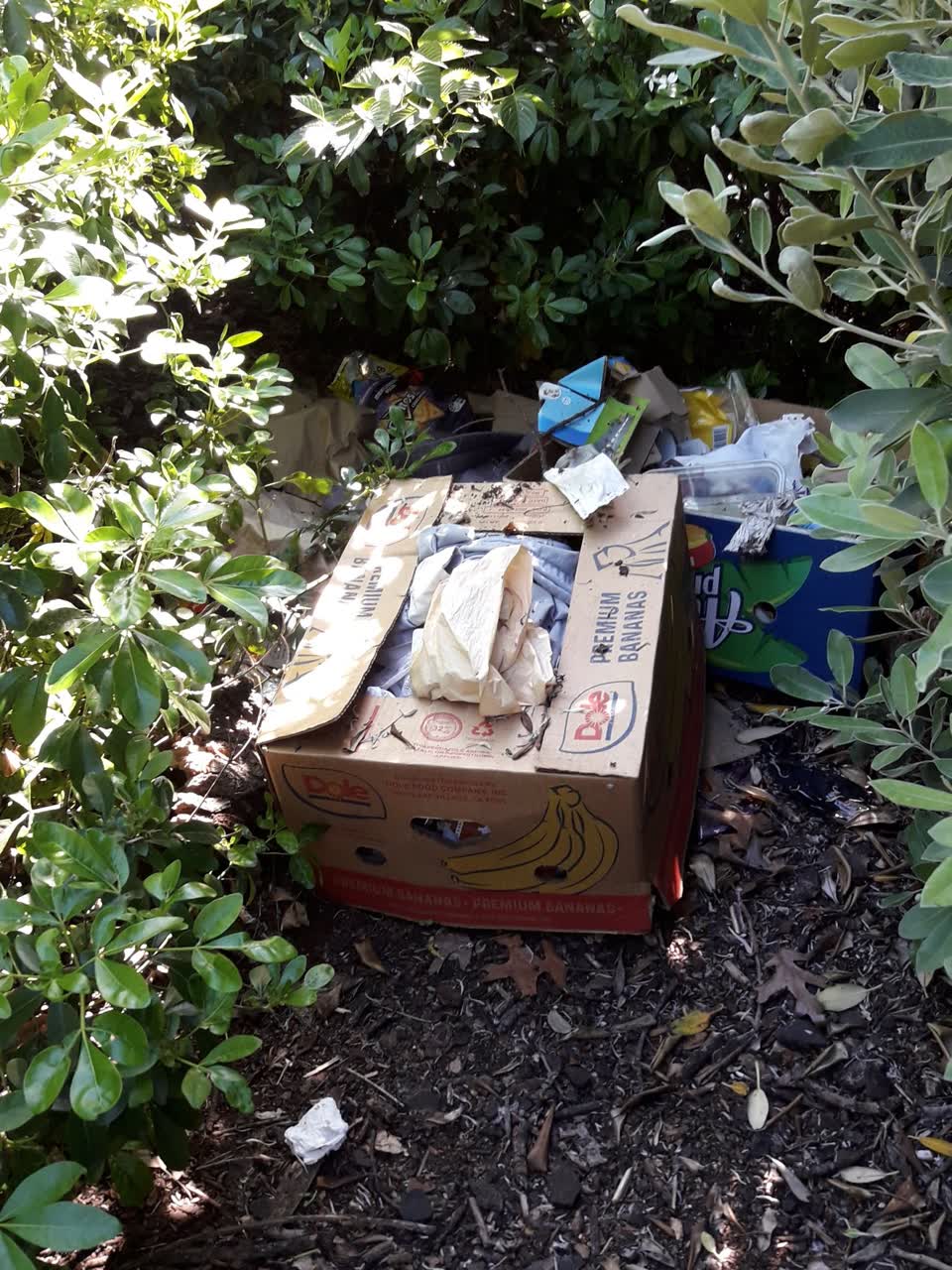The photograph attached to this rubbish/recycling report