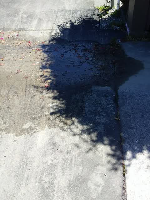 Water Leak, a report photo