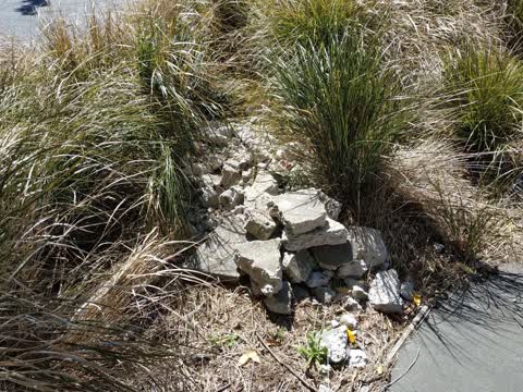 Rubbish/Recycling, a report photo