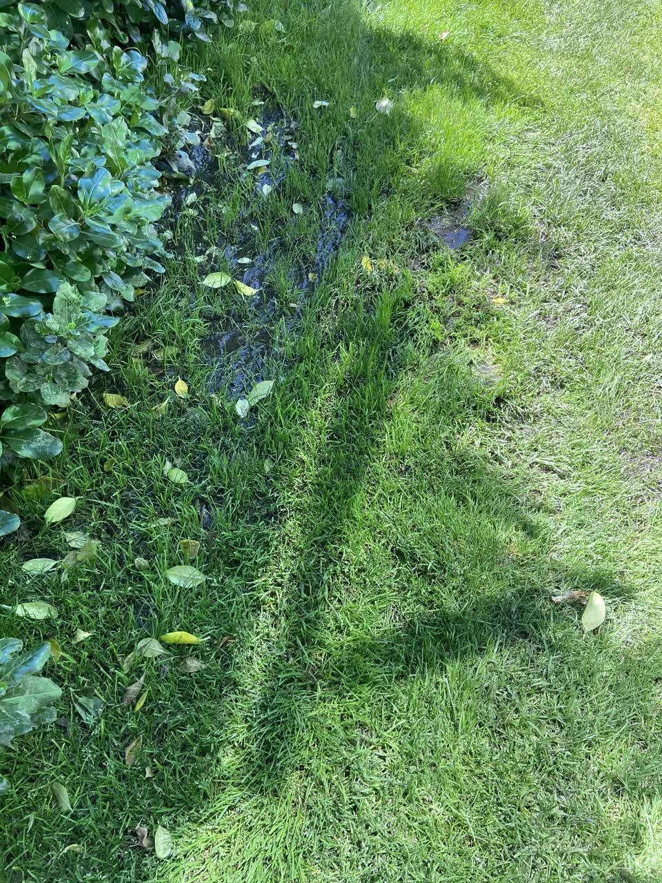 The photograph attached to this water leak report