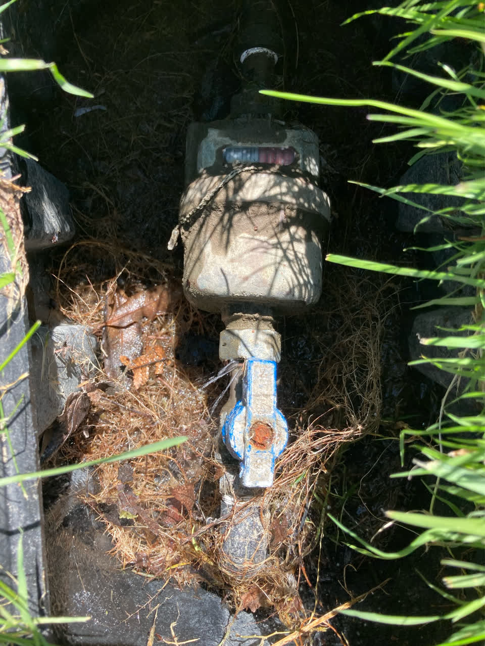 The photograph attached to this water leak report