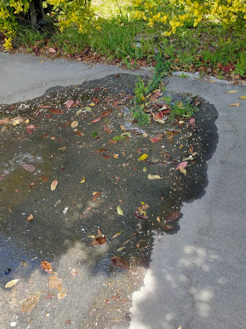 The photograph attached to this water leak report