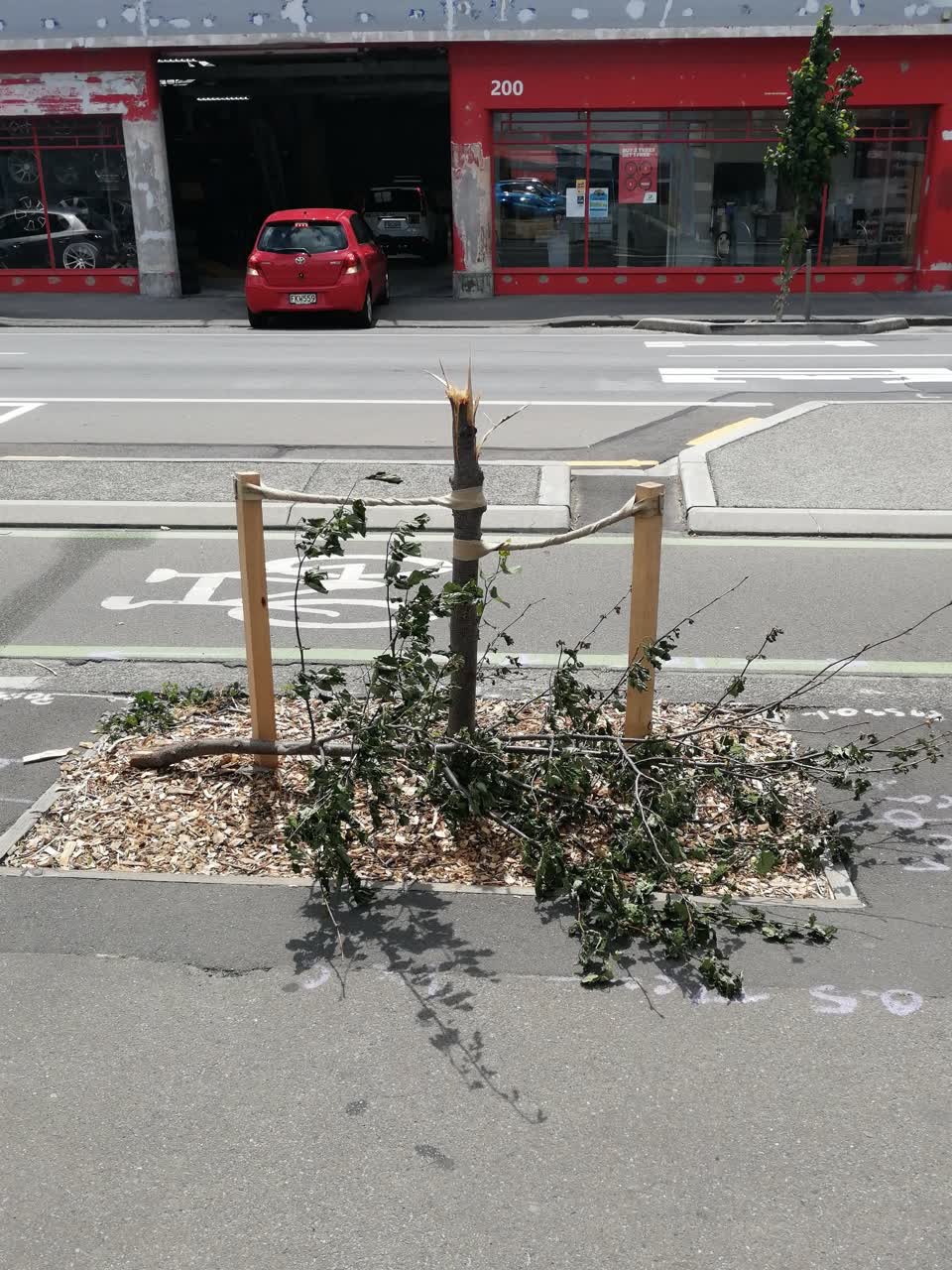 The photograph attached to this parks report