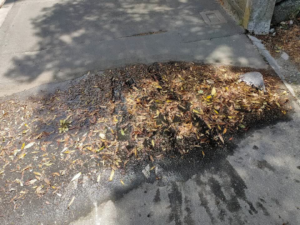 The photograph attached to this water leak report