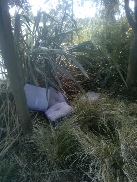 Rubbish/Recycling — a report photo