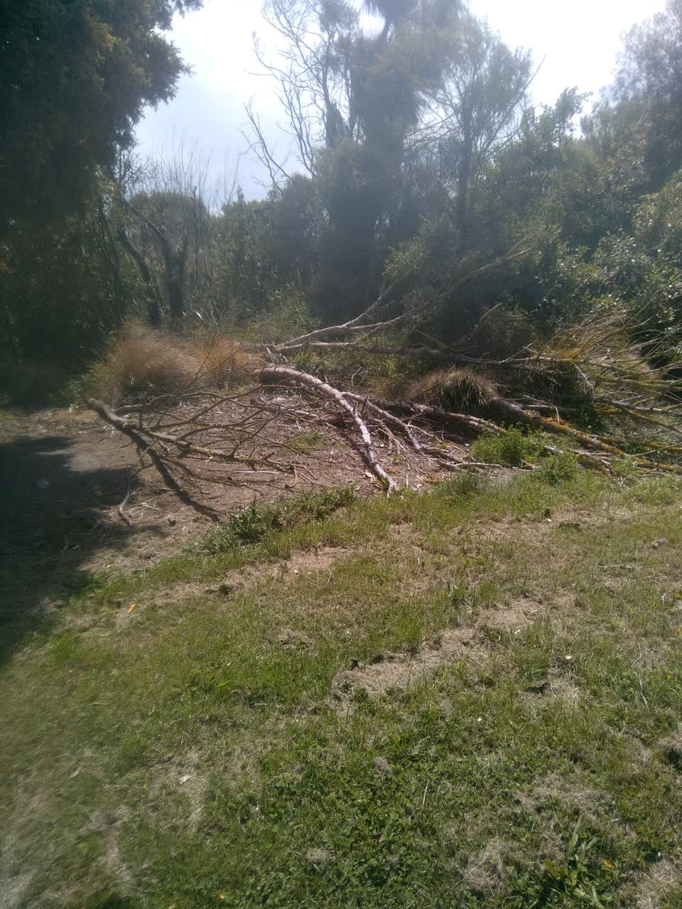 The photograph attached to this parks report