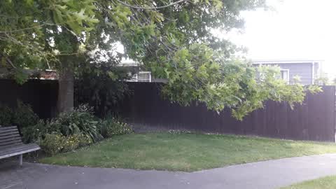 Parks, a report photo