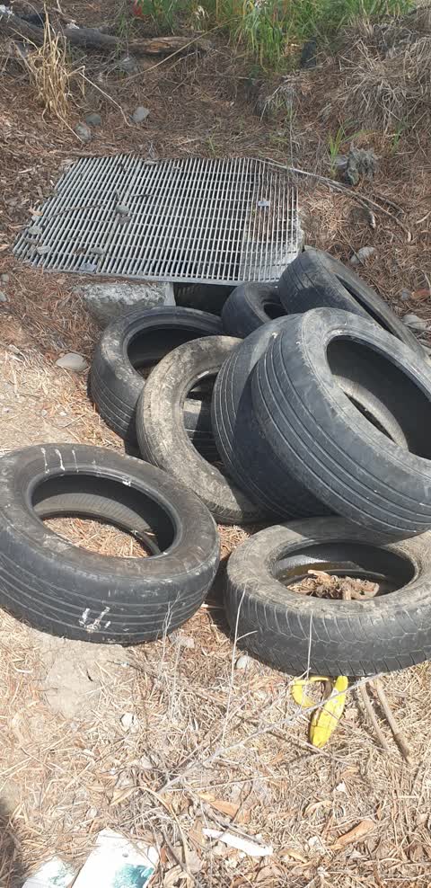 Rubbish/Recycling, a report photo