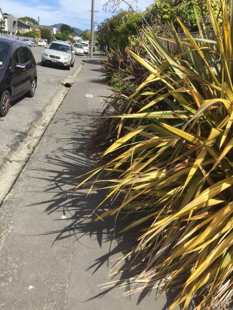 Street Light Outage, a report photo