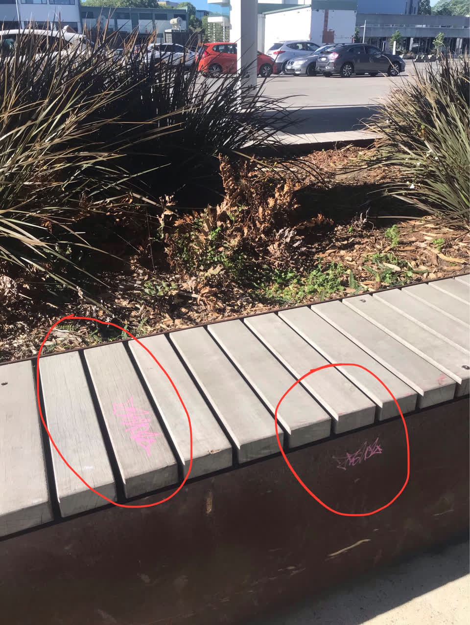 The photograph attached to this graffiti report