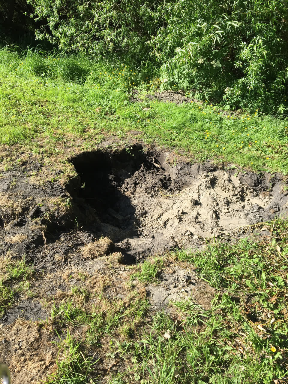 The photograph attached to this parks report