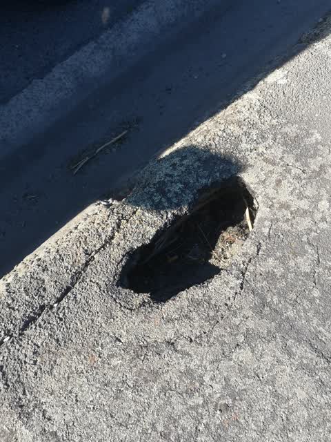 Roading/Streets, a report photo