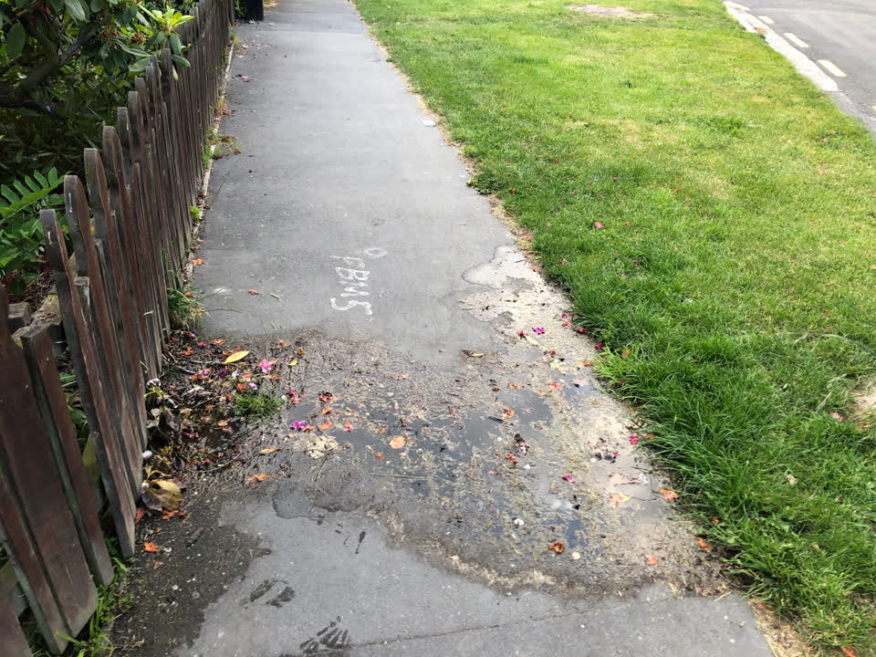 The photograph attached to this water leak report