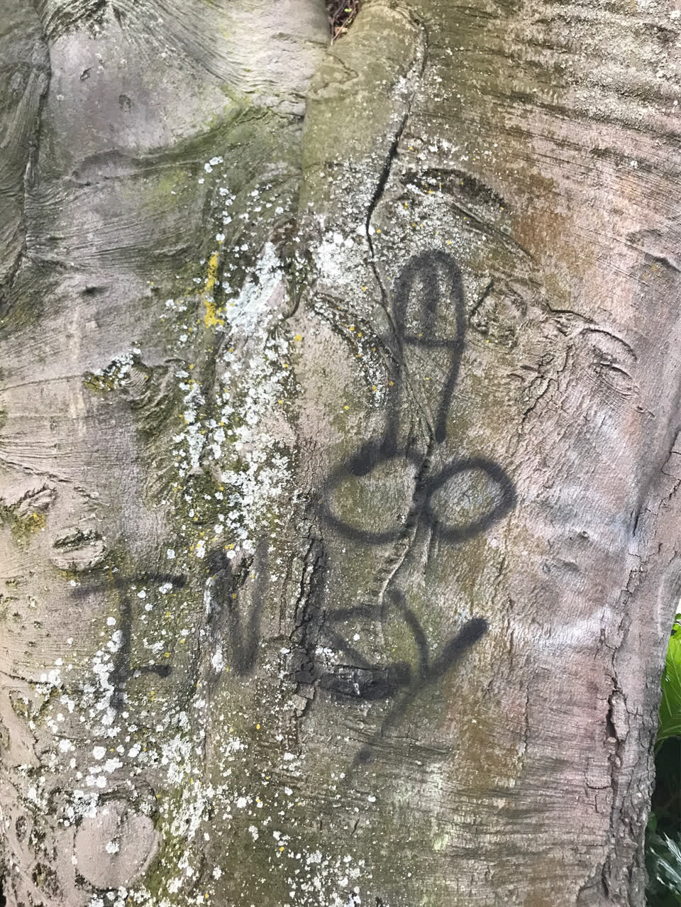 The photograph attached to this graffiti report