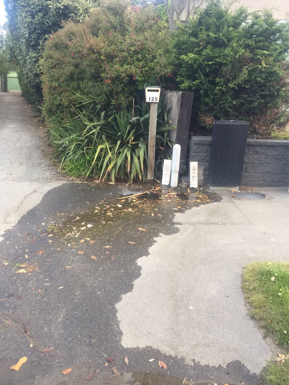 The photograph attached to this water leak report
