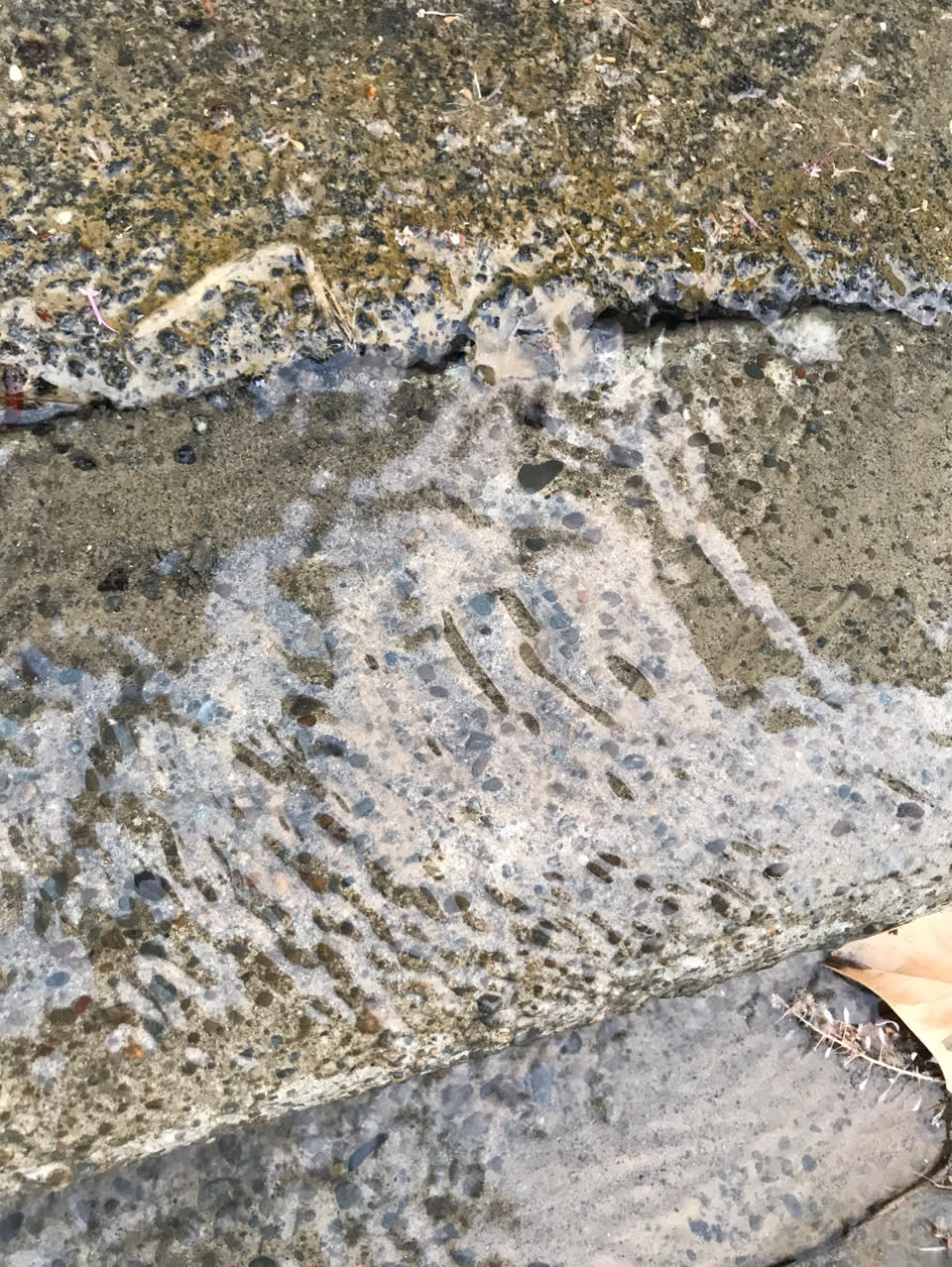The photograph attached to this water leak report