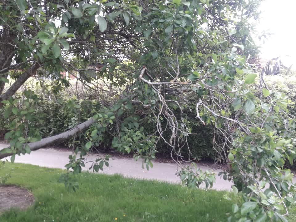 The photograph attached to this parks report