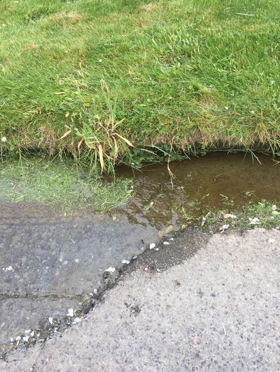 The photograph attached to this water leak report