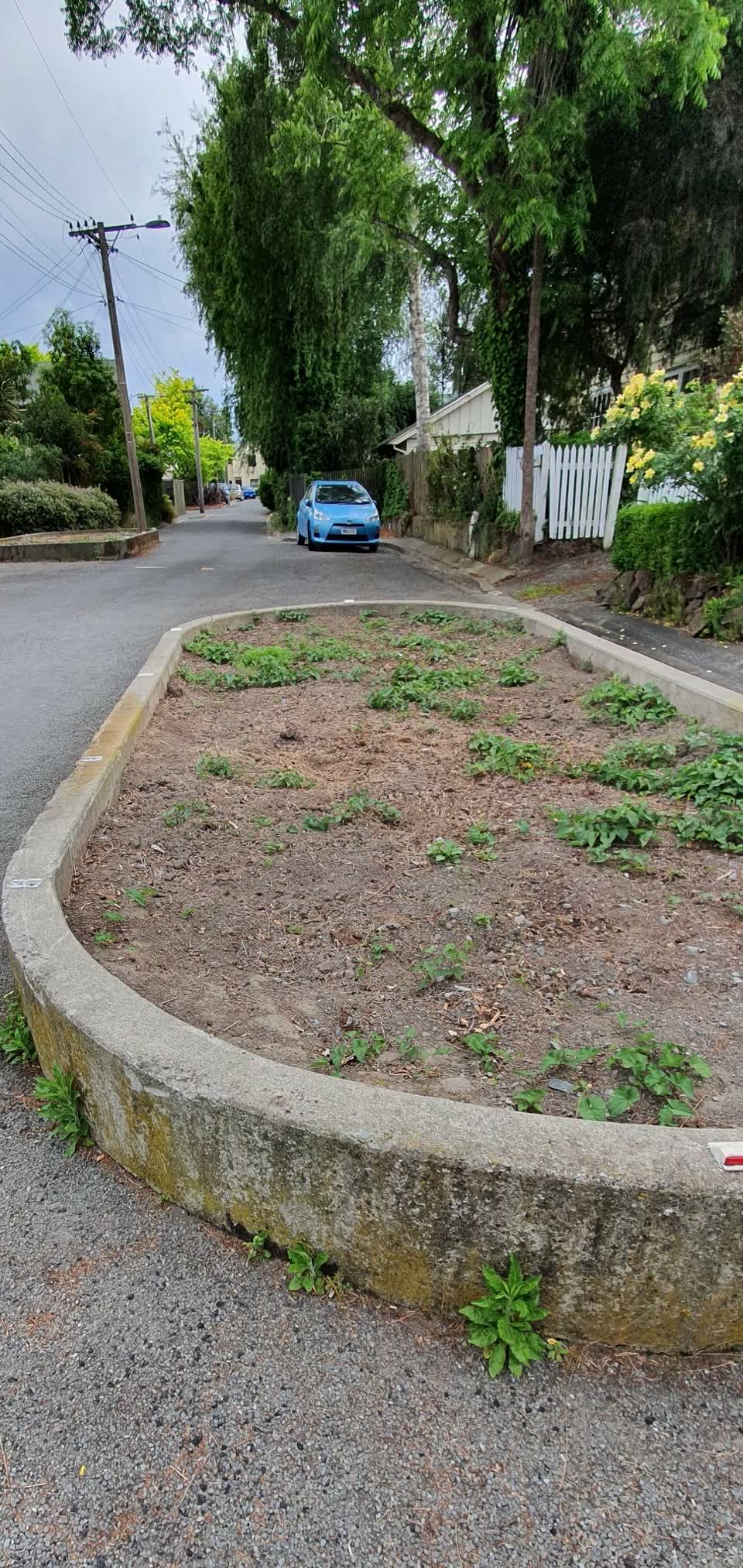 The photograph attached to this parks report