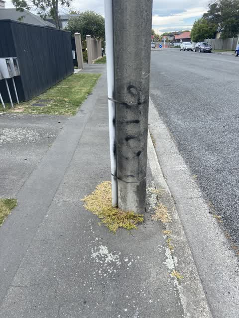 Graffiti, a report photo